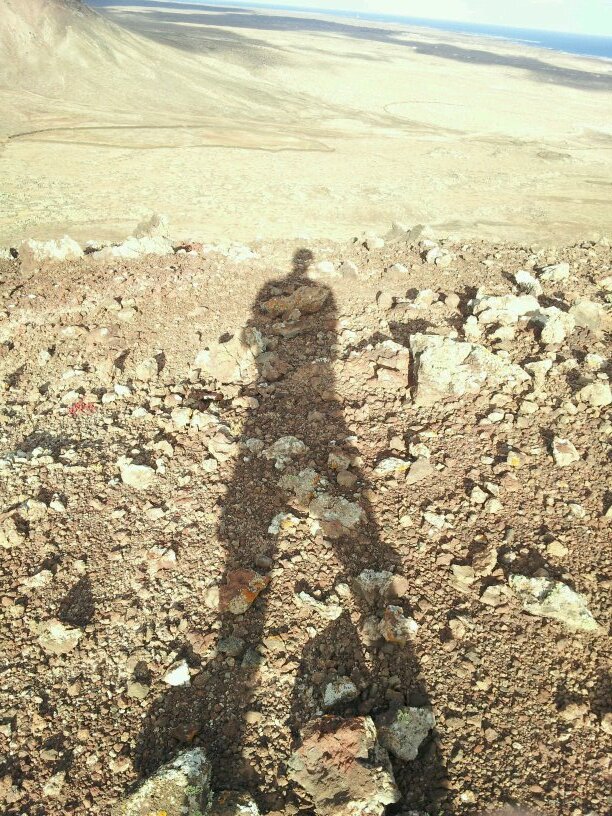 johnnybristo's profile picture. 