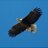 aerialvideosusa's profile image