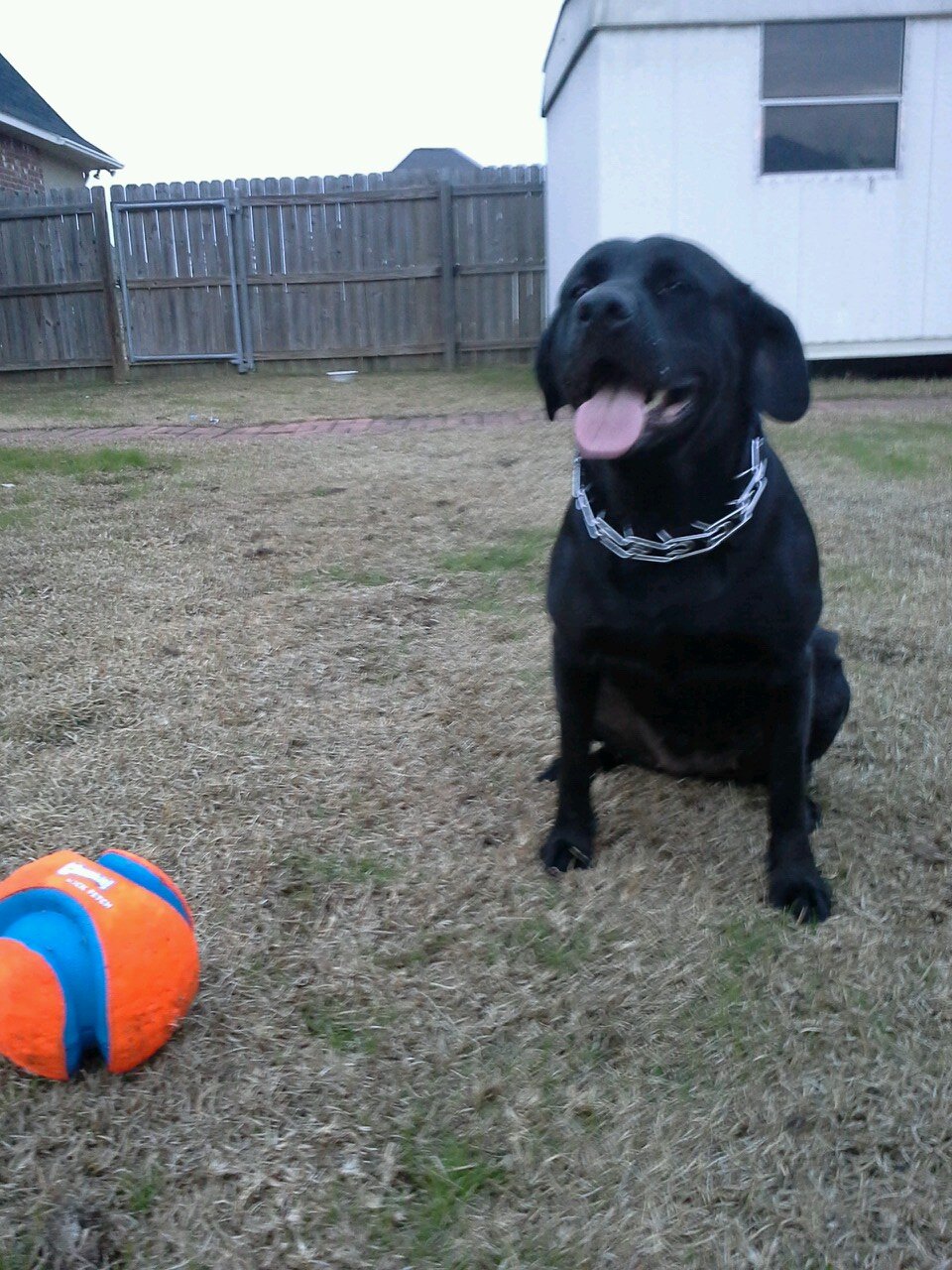 mattnsu02's profile picture. 