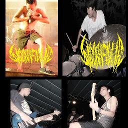 The official Twitter of NECROFILLIA (Slamming Death Metal) band from Surabaya. Our corpse: @CandraAdiSaput9, #Reza, #Angga, #Koso | for info : 085731146336 \m/