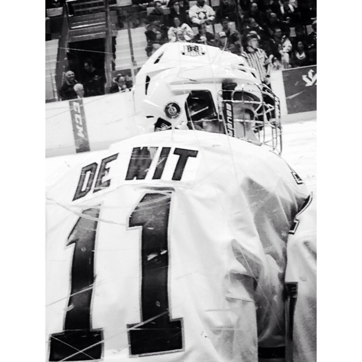 jdewit11 Profile Picture