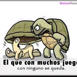 lucaspalavesino's profile picture. 