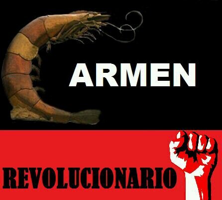 Por un Carmen sin miedo y sin Opresión.  Yo Soy #CarmenRevolucionario