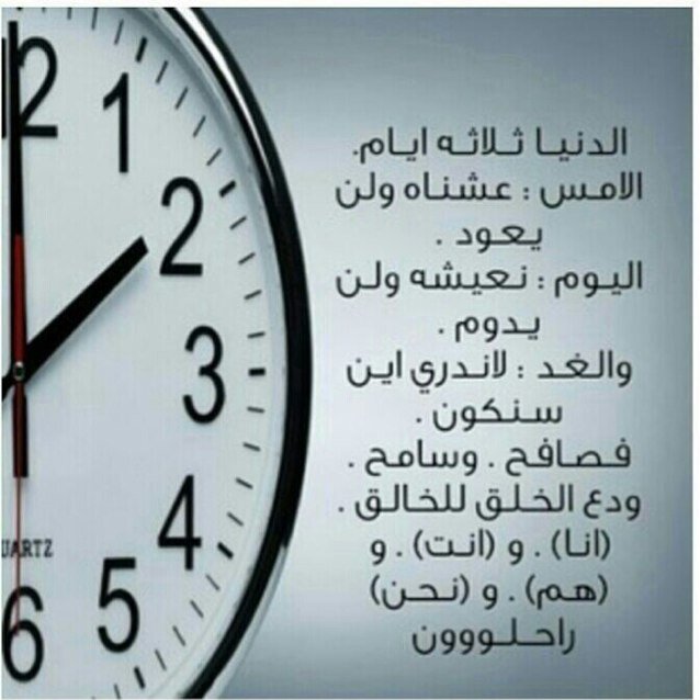 كل ما أبحث عنه من مفضلتي ( مؤرخ )
