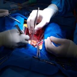 Cardiac | Thoracic | Vascular Device Rep