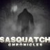Sasquatch Chronicles (@sasquatchchron) Twitter profile photo