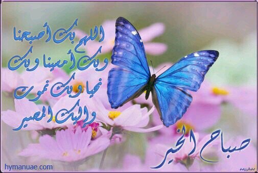 ‏‏‏‏‏اللهم اني اسالك الجنه ونعيمها