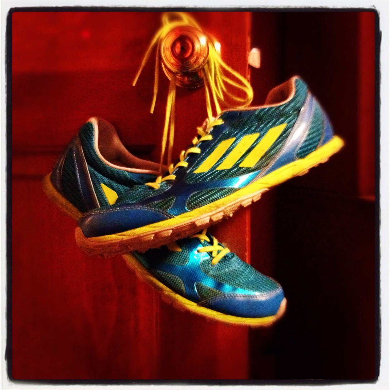 Junior. XC.Track (Distance)