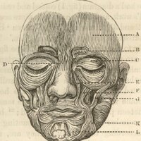 Steven Legget (@steve_legget) 's Twitter Profile
