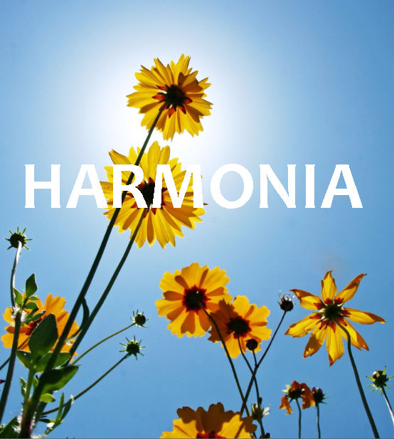 Harmonia és una revista gratuïta on participen professionals d’àmbits diversos amb l’únic objectiu de millorar la teva salut física, mental i emocional.