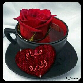 abdalabagi1967's profile picture. ‏‏‏احبك انيك طول اليوم وعمري 45سنه واسمراني الون