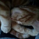 catherine dillon - @catdillon7 - Twitter