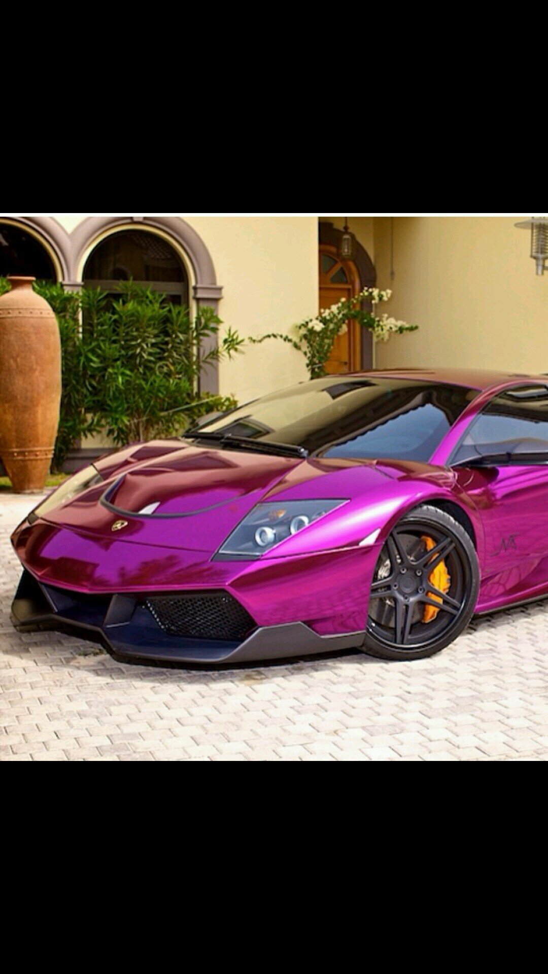 tsharfna's profile picture. kuniv