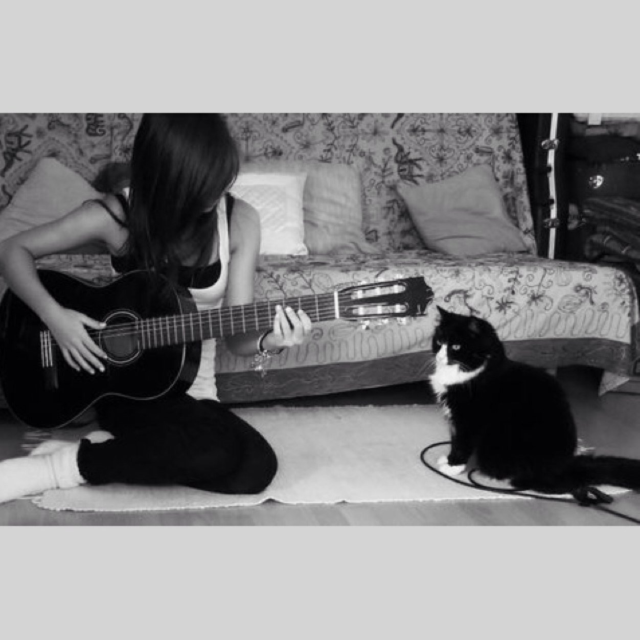 musicalbrunette's profile picture. music • cats • schnapps