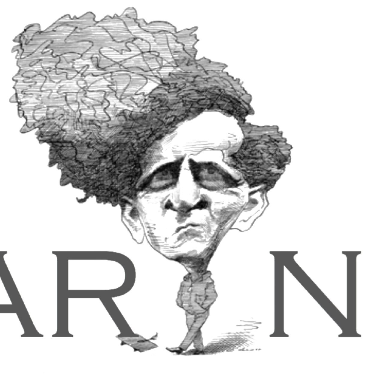 A #Wittgenstein-ian view of #language, #literacy and #learning. We explore how people are brought into ways of seeing & #thinking.