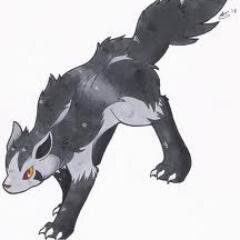 Well,I'm a Mightyena who lives by the river. Hi! My heart will always be taken by @CutePooch_  Family: In list