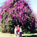 Mildred Ferrell - @FerrellMildred - Twitter