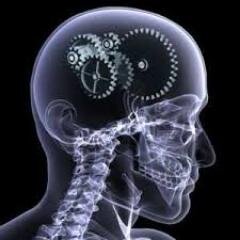 Neuroscience | research, physiology, pharmacology, psychology, books and journal articles in neuroscience, neurology