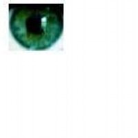 Remy Cruz (@r3adyn0w) 's Twitter Profile