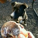 Matthew Wakeman - @WakemanMatthew - Twitter