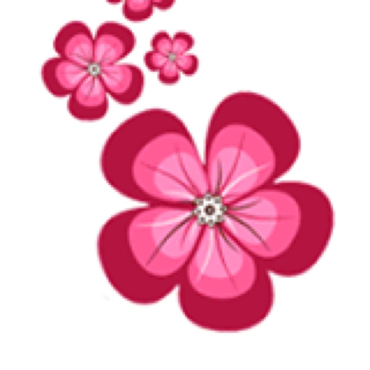 Clínica especializada en ginecología y obstetricia. Esterilidad, fertilidad, oncología ginecológica, ginecosmetología. Hospital Español.