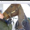 Christine Taylor Phelps - @maxxandtazz - Twitter