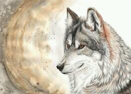 i work for the black crow and I'm the second in command of my pack