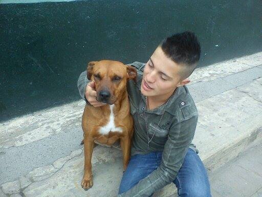 puli971030's profile picture. artista, amante a los perros, boxeo, operario maquinaria pesada