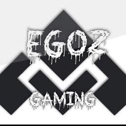 One of the four players for EGOz Gaming Competitive team and 1 of 5 leaders of the CoD clan EGOz Gaming