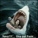 Samuel almonte - @Elken22Menol - Twitter