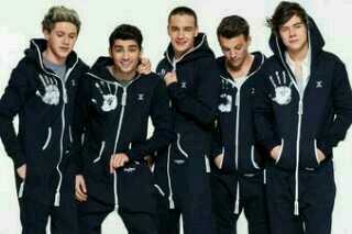 Me apaixonei por 5 idiotas da escada (Harry,Liam,Zayn,Niall,Louis)desde que comecei a gostar deles escolhi seguir Uma Direção