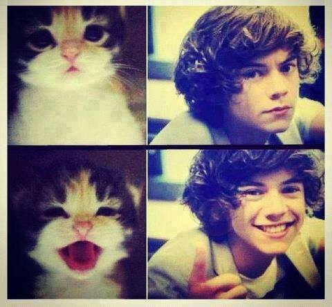 One Direction, Niall, Liam, Louis, Harry Y Zayn *-* Ellos Y Yo Somos Lo Mas PER-FECT♥  Del Mundo Entero !!