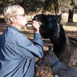 Living in Verona,, loving life!!!  author and proud to be a part of a special group of people.U.S. Gold Seal of Literary Excellents author! Hard work paid off !