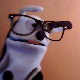twitter oficial de perrito tierno y sexy . Perrito gracioso q ase videos en youtube y solo velos :)