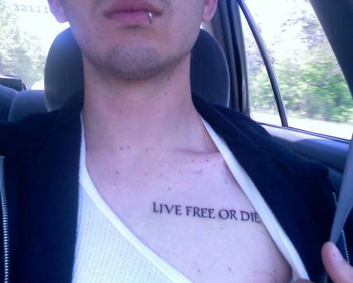 mclaughlinlives's profile picture. Knitting, Mopeds, Photography