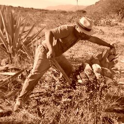 Mezcal artesanal, orgánico y 100% agave. Elaborado en Matatlan Oaxaca por Don Leoncio Santiago (4a generación de maestros mezcaleros)