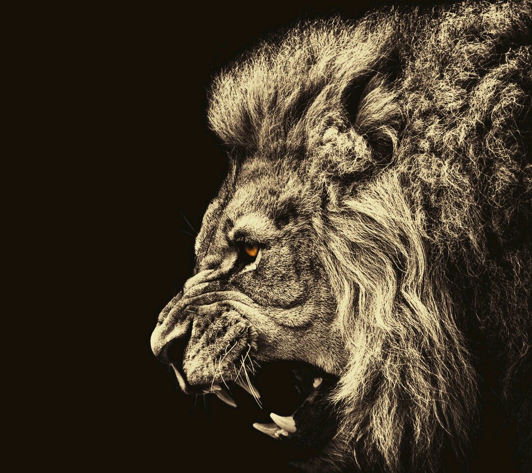 ★CCC9★TYRANT 36 MILITIA★Add me on Xbox TM36 xNeptune★Elgato Gaming★Stay Saucy!★3OO★Rich Gang★Hopsin is Raw!★Shoutout to Kasaan TV★Lyon King★Follow jordynallen88
