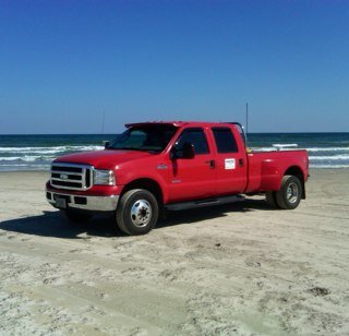 bird5405's profile picture. 