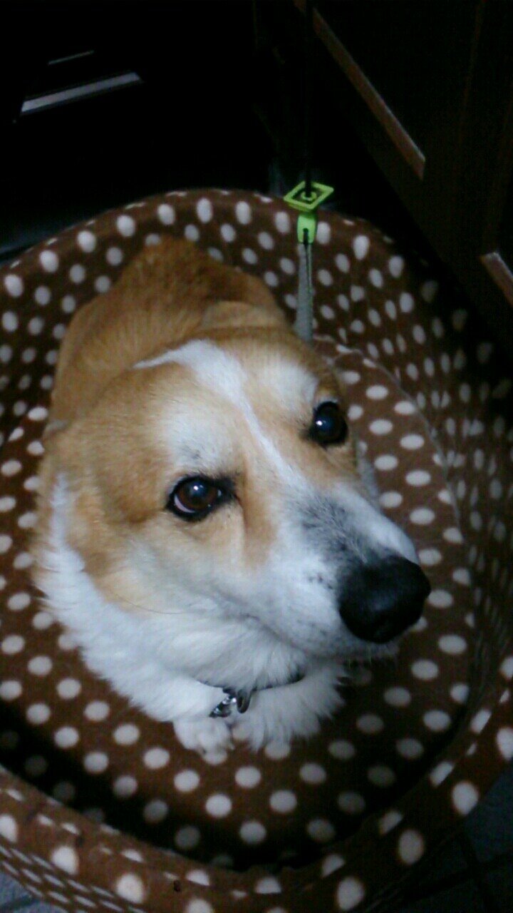 bbsl006's profile picture. 日本人よ！！私よ私！！睡眠大好き私よ！！気づいたらフォローよろしく╰(*´︶`*)╯ ≡┗( ^o^)┛≡┏( ^o^)┓≡┗( ^o^)┛