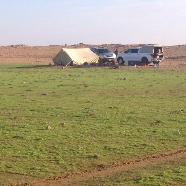 اقدار مادري على وين تجري..... لكن عساها في كل الاحوال خيره