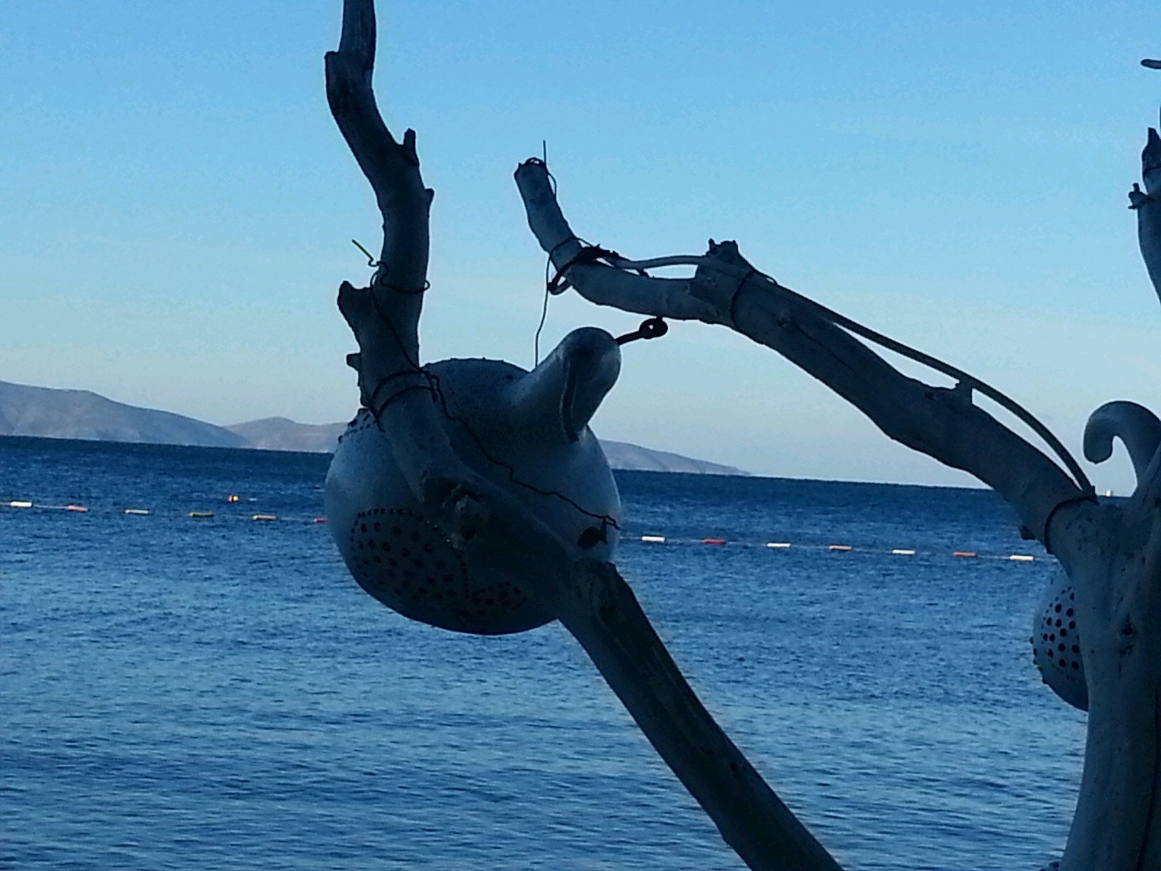 Yusuf6010's profile picture. 