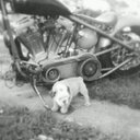 Dillon Evans - @dillingermode89 - Twitter