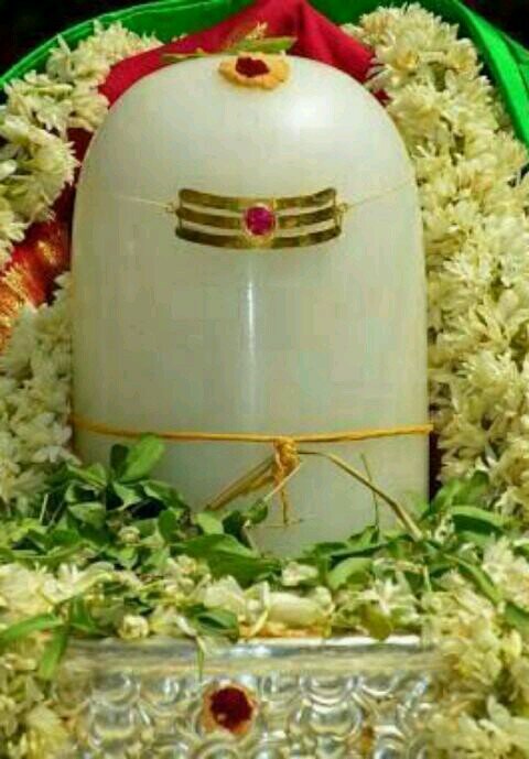 FUTURE OF INDIA