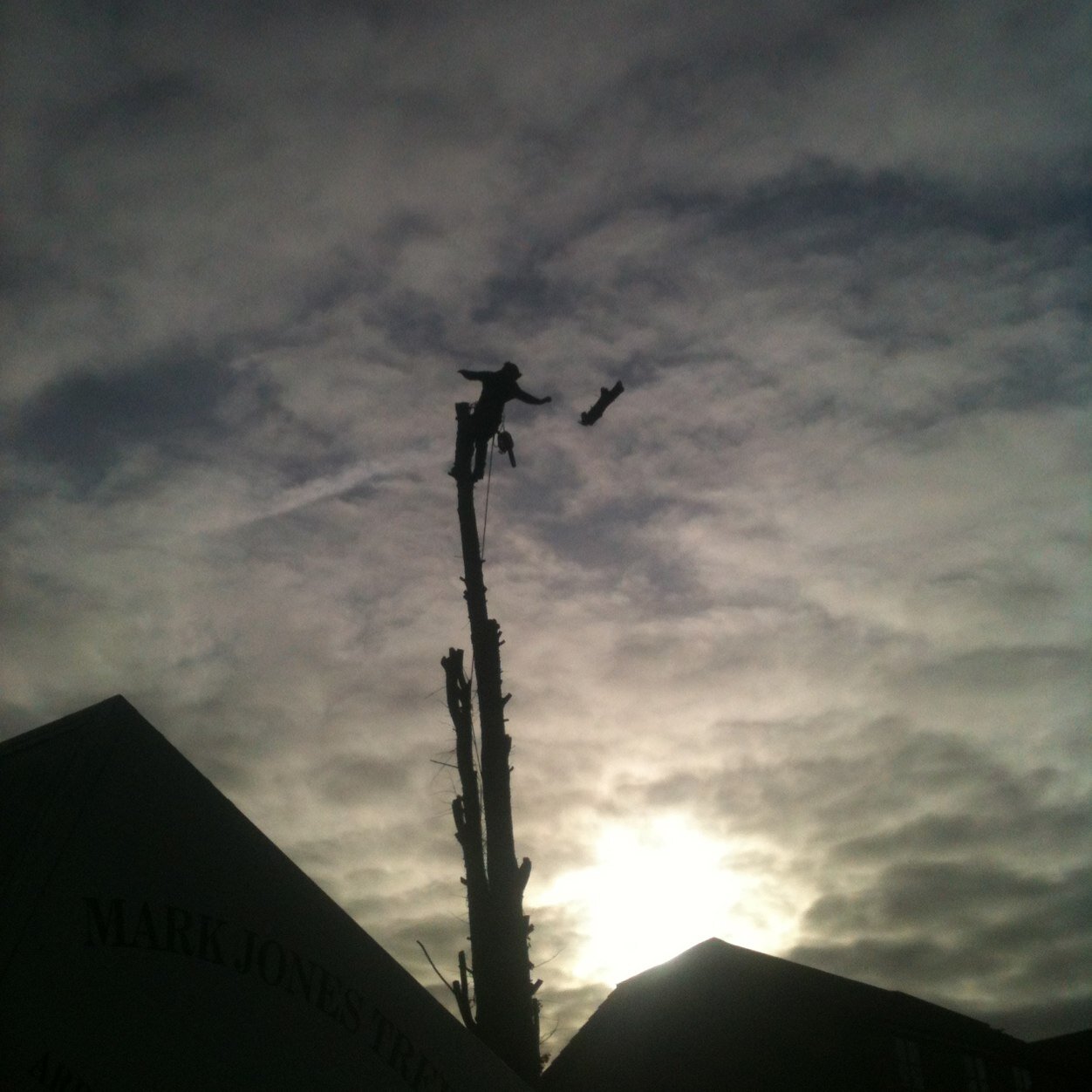 Just a happy tree monkey climbing the heights living life to the full.