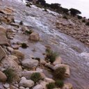 ياصاحبي يا حبني لك (@11fahadnaser) Twitter