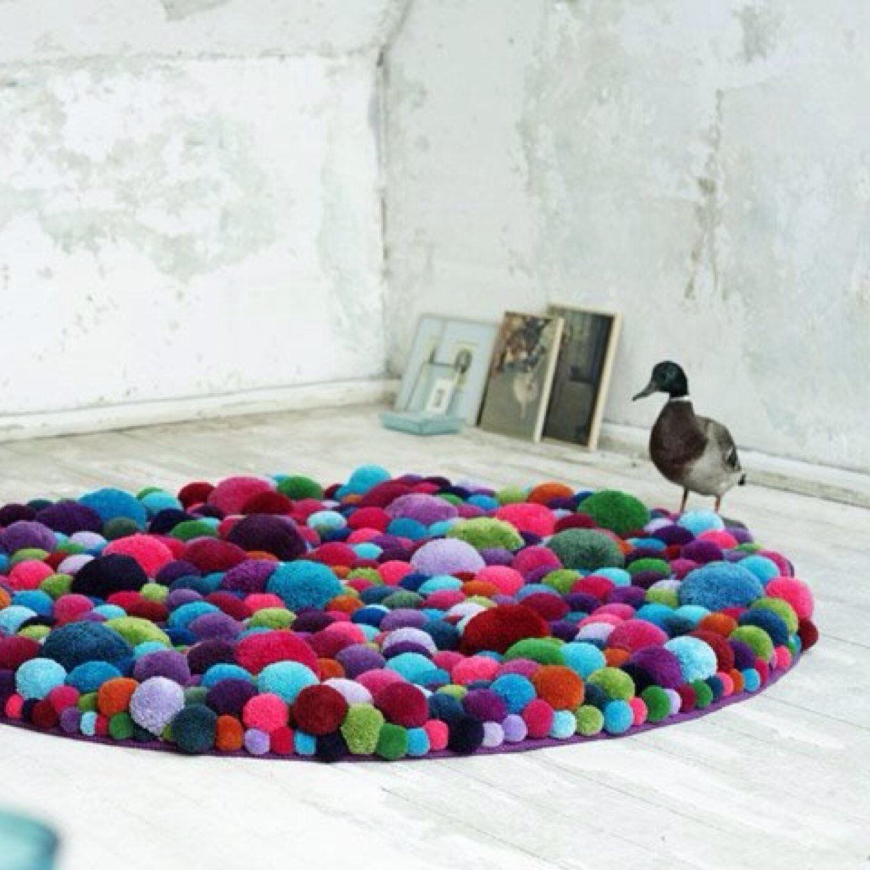 katehajdu's profile picture. 