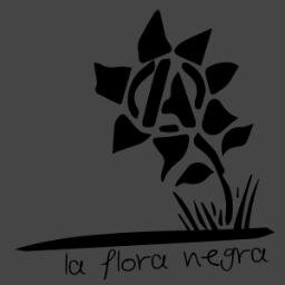 Über den Zustand unterschiedlicher anarchistischer oder solidarökonomischer Projekte. Antifa bleibt Notwendigkeit. Tweets in German and English.