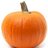 pumpkin pumpkin