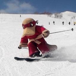 Kamo_Ninja's profile picture. ニセコHANAZONOリゾートの人気キャラ？カモノハシです。
色々なところに出没しますので宜しくね。
っんがぁー!!!