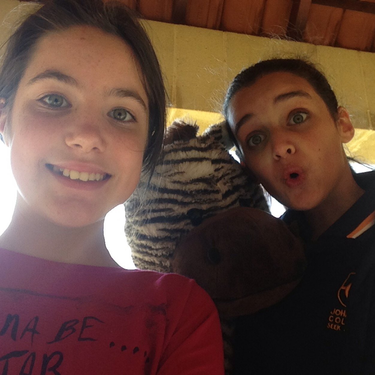 Hey guys here is a bit about me, i love animals, One Direction, gaming but most of all my friends! Make sure to follow me